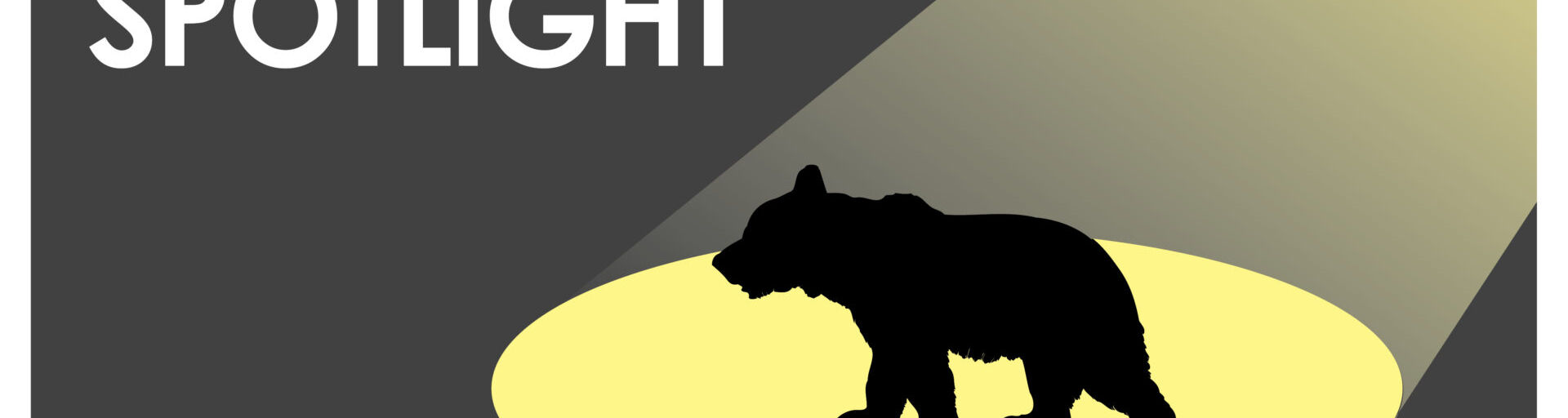 Employee Spotlight Banner