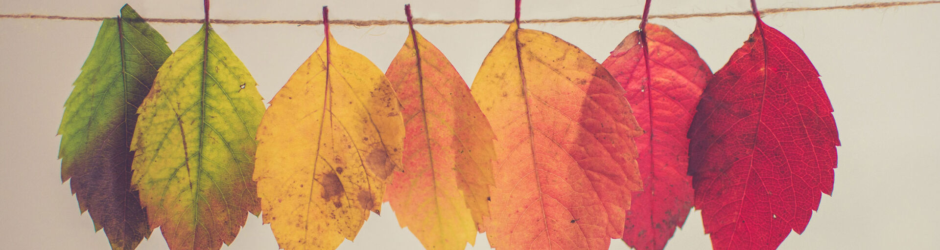 Ironton Estates, a Fairway Management senior community located in Ironton, Missouri, has frequent opportunities for residents to win raffle prizes throughout the year.