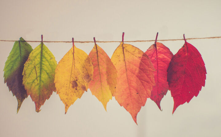 Ironton Estates, a Fairway Management senior community located in Ironton, Missouri, has frequent opportunities for residents to win raffle prizes throughout the year.