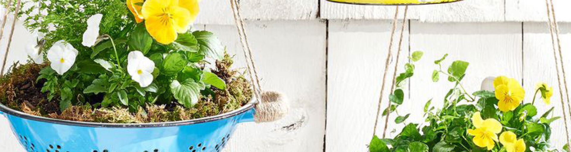 FWM Spring Craft: Converted Colander Planter; Photo and craft credit: Country Living