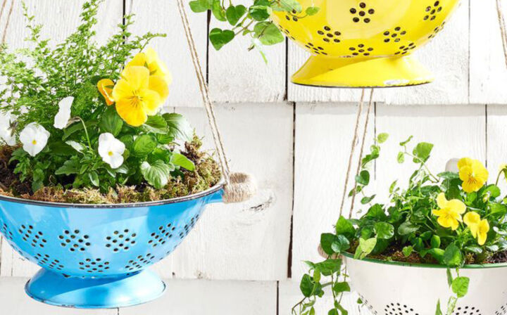 FWM Spring Craft: Converted Colander Planter; Photo and craft credit: Country Living