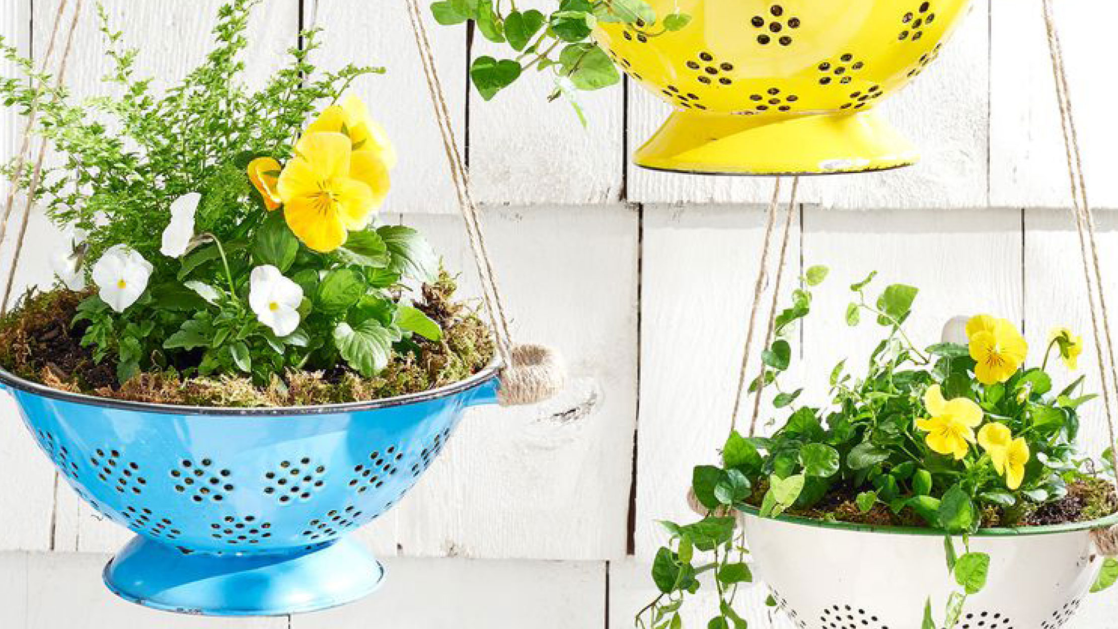 FWM Spring Craft: Converted Colander Planter; Photo and craft credit: Country Living