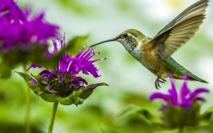 Have you ever wondered why you feel happier in the spring? Mental Floss outlines the scientific reasons behind this feeling in their article