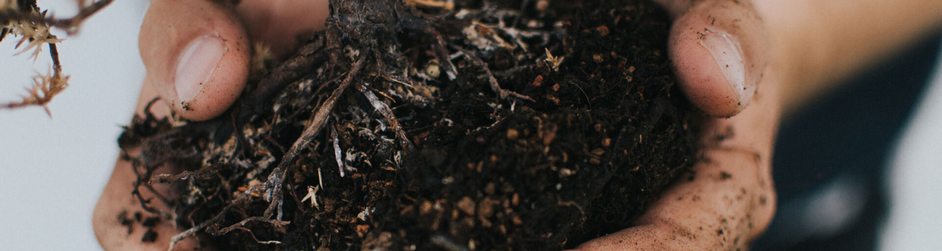 With spring in the air, now is the perfect time to begin your gardening. Here are a few tips from almanac.com to help get your garden in shape!