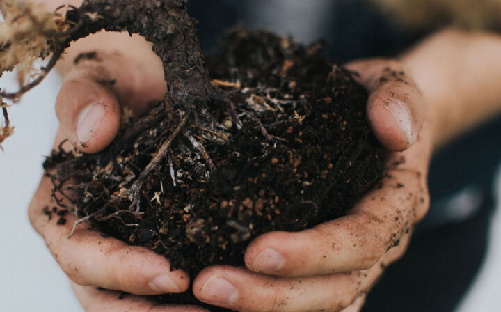 With spring in the air, now is the perfect time to begin your gardening. Here are a few tips from almanac.com to help get your garden in shape!