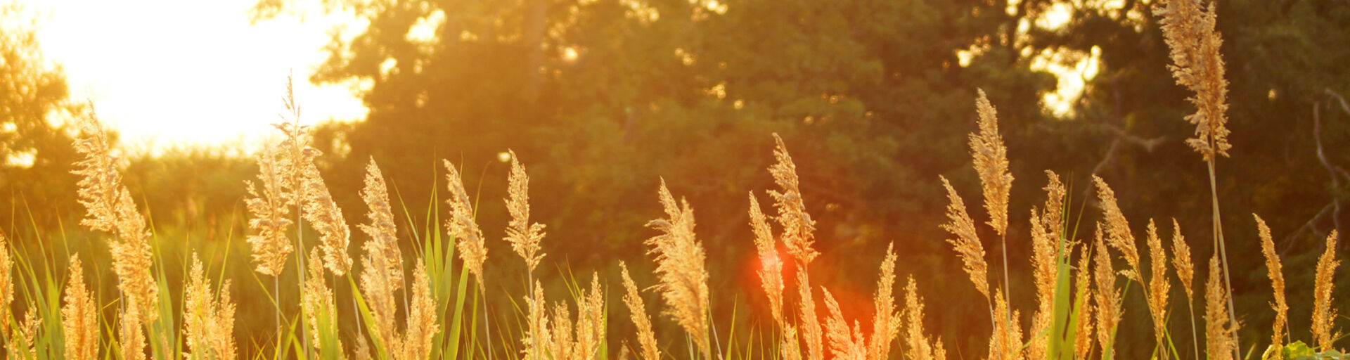 With the changing of the season, comes a change of lifestyle. Below are some tips to have a safe summer from www.senioradvisor.com.