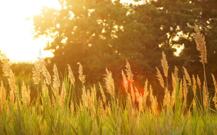 With the changing of the season, comes a change of lifestyle. Below are some tips to have a safe summer from www.senioradvisor.com.