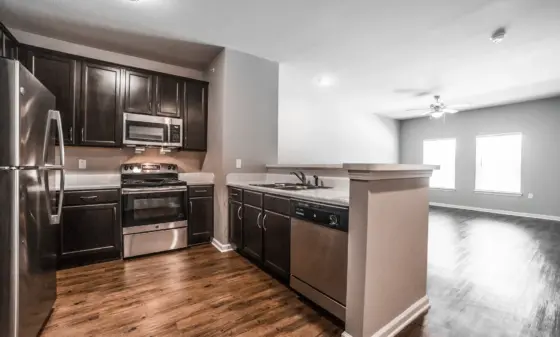 Open-concept kitchen with dark wood cabinets, stainless steel appliances, and a center island adjacent to a bright living area with a ceiling fan.
