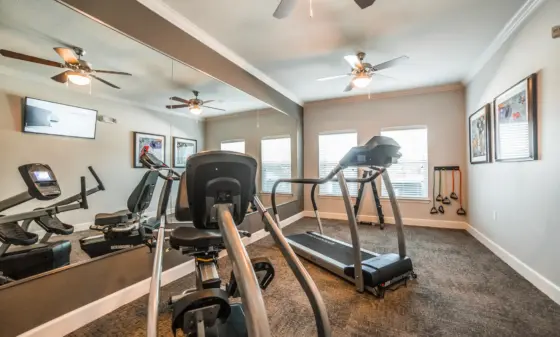 Home gym with multiple cardio machines (treadmills and ellipticals) facing a large wall-length mirror, ceiling fans, framed wall art, and windows with blinds on the side.