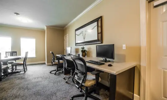 Office workspace with a long desk, two computer monitors, and a framed longhorn skull artwork on the wall.