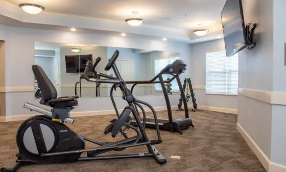 Home gym with multiple cardio machines (elliptical and treadmill) facing a mirrored wall, ceiling lights, a wall-mounted TV, and windows with blinds.