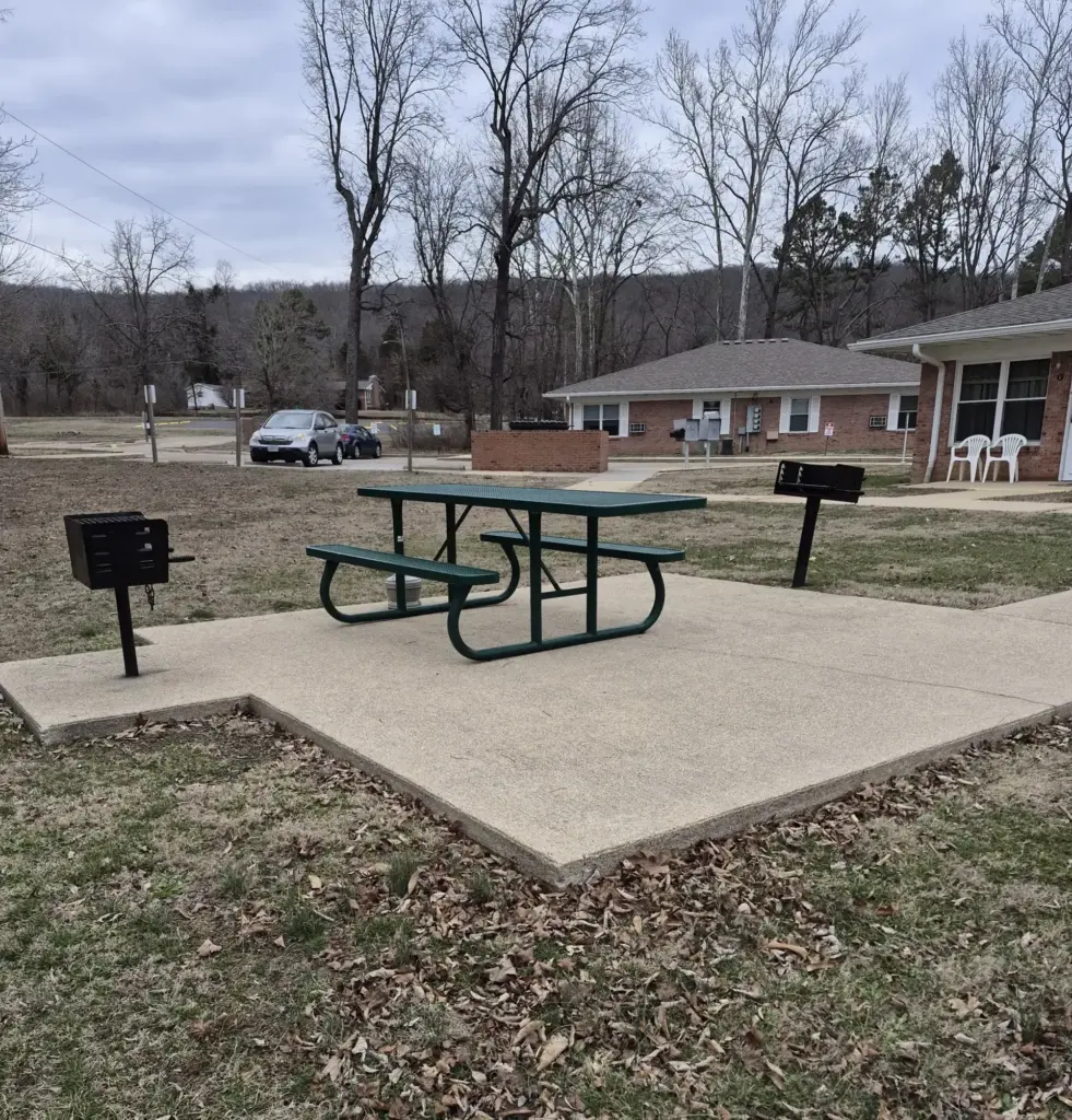 Green metal picnic table and two charcoal grills sit on a concrete pad in an outdoor park with leaf litter and bare trees in the background