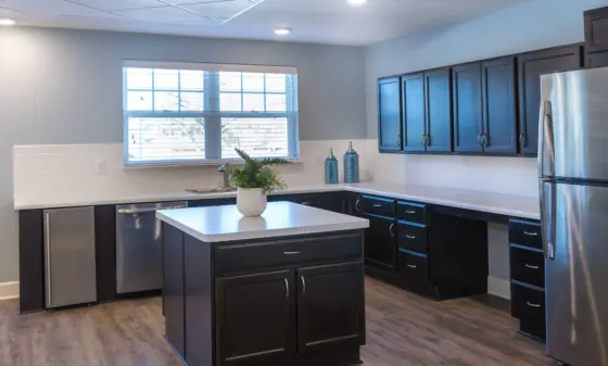 Modern kitchen with dark cabinets, white countertops, and stainless steel appliances including a fridge and dishwasher under recessed lighting and a central island with a potted plant.
