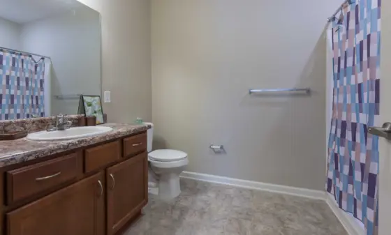 Bathroom with vanity, sink, and mirror, plus toilet and colorful checkered shower curtain in a beige-walled room.