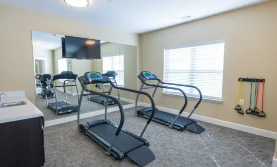 Home gym with two treadmills facing a mirrored wall and a mounted TV, bright window blinds, and colorful resistance bands on the wall.