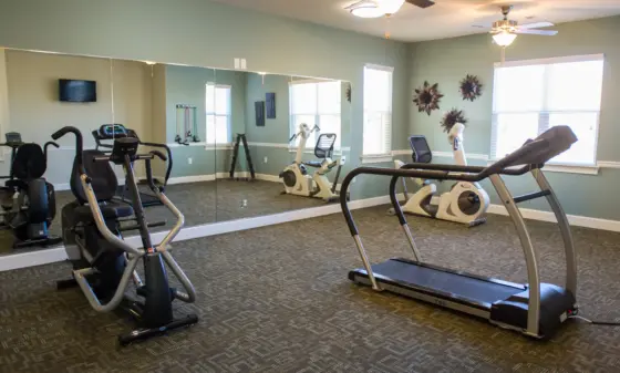 Gym room with treadmills, cardio machines, and a mirrored wall along the length of the room.