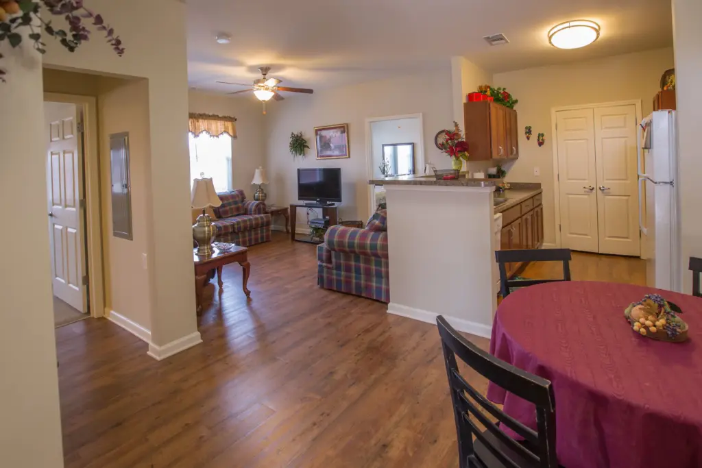 Open-concept living area with plaid sofa, TV on a stand, ceiling fan, and a purple-draped dining table in the foreground.